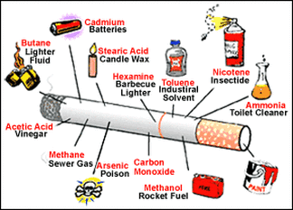 health For Dollars How You Can Do health In 24 Hours Or Less For Free