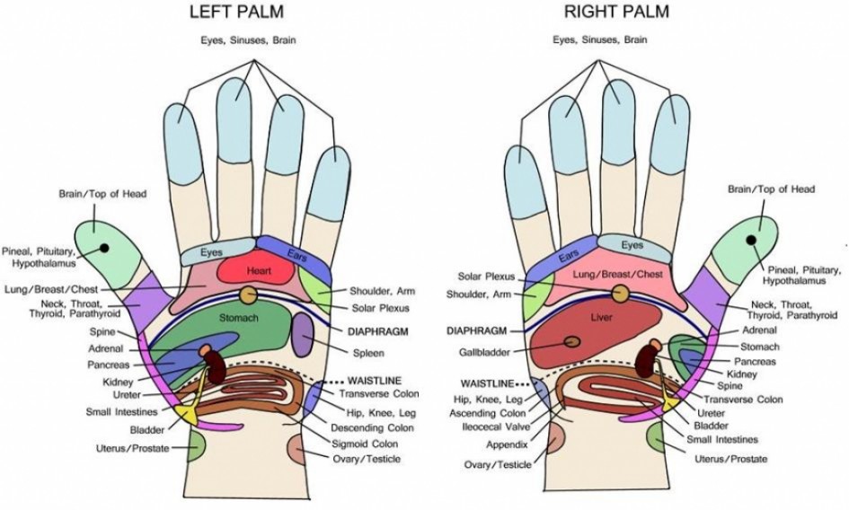 Hand Chart